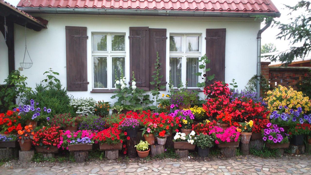 Zajazd Bonanza Jedrzychowice  Exterior photo