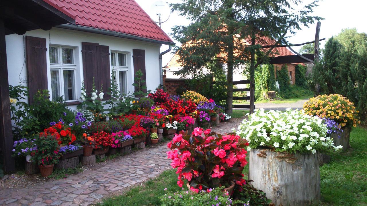 Zajazd Bonanza Jedrzychowice  Exterior photo